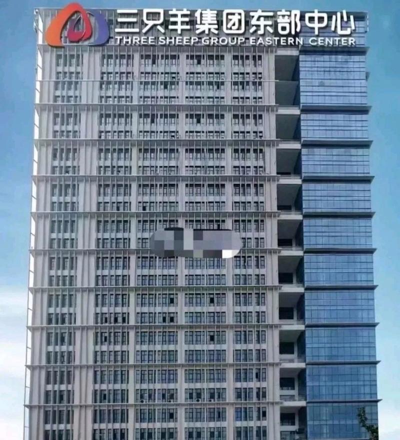 合肥本地人都知道,他不是工厂,没有生产任何东西,只需要左手倒右手