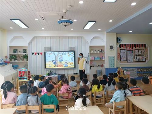 秋已暮,寒霜凝 合肥市长江路幼儿园教育集团京福分园的深秋记忆